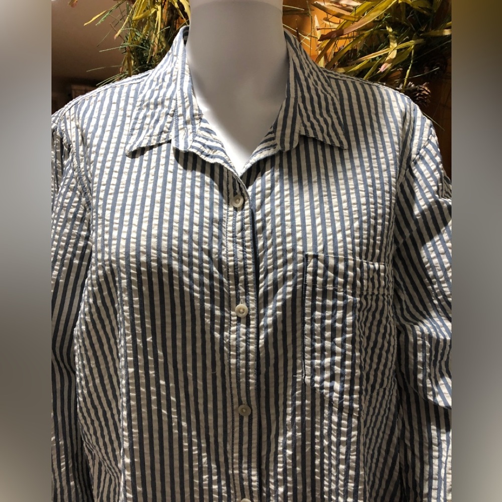 Eddie Bauer Women’s Classic Blue & White Striped Button-Down Shirt
Size XL
EUC
